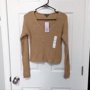 Wild fable beige Knitted Sweater